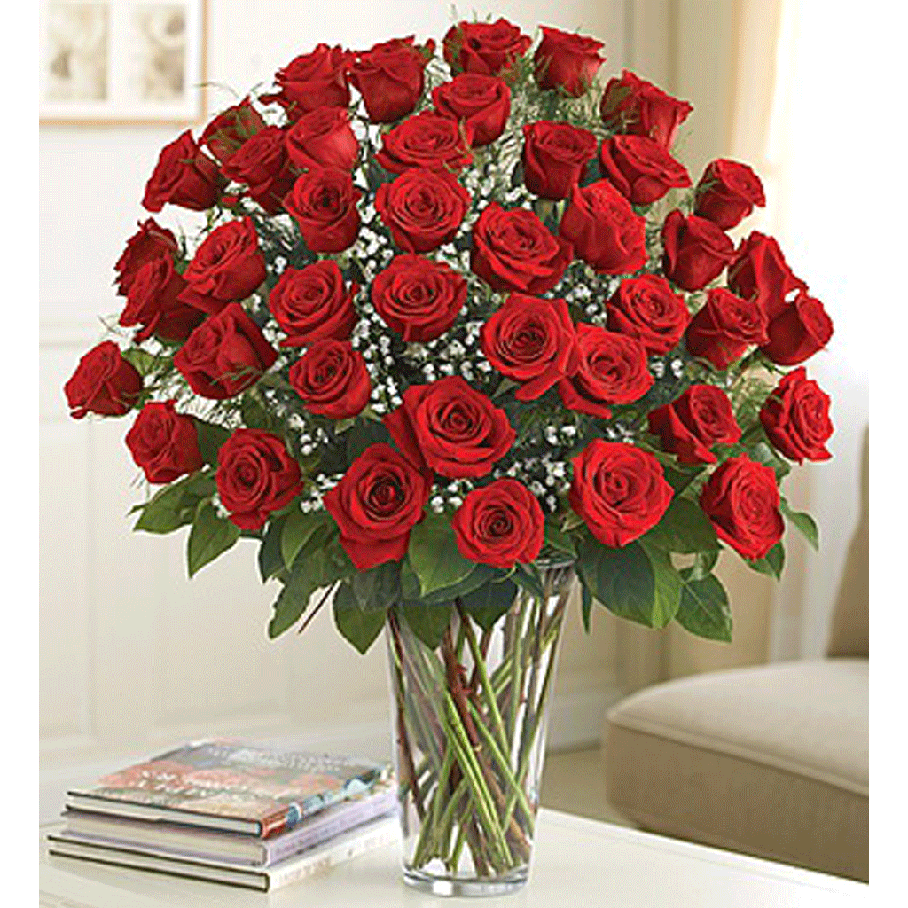 48 Red Roses Arranged Flower Bouquet