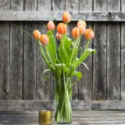 Tulips Flower Bouquet