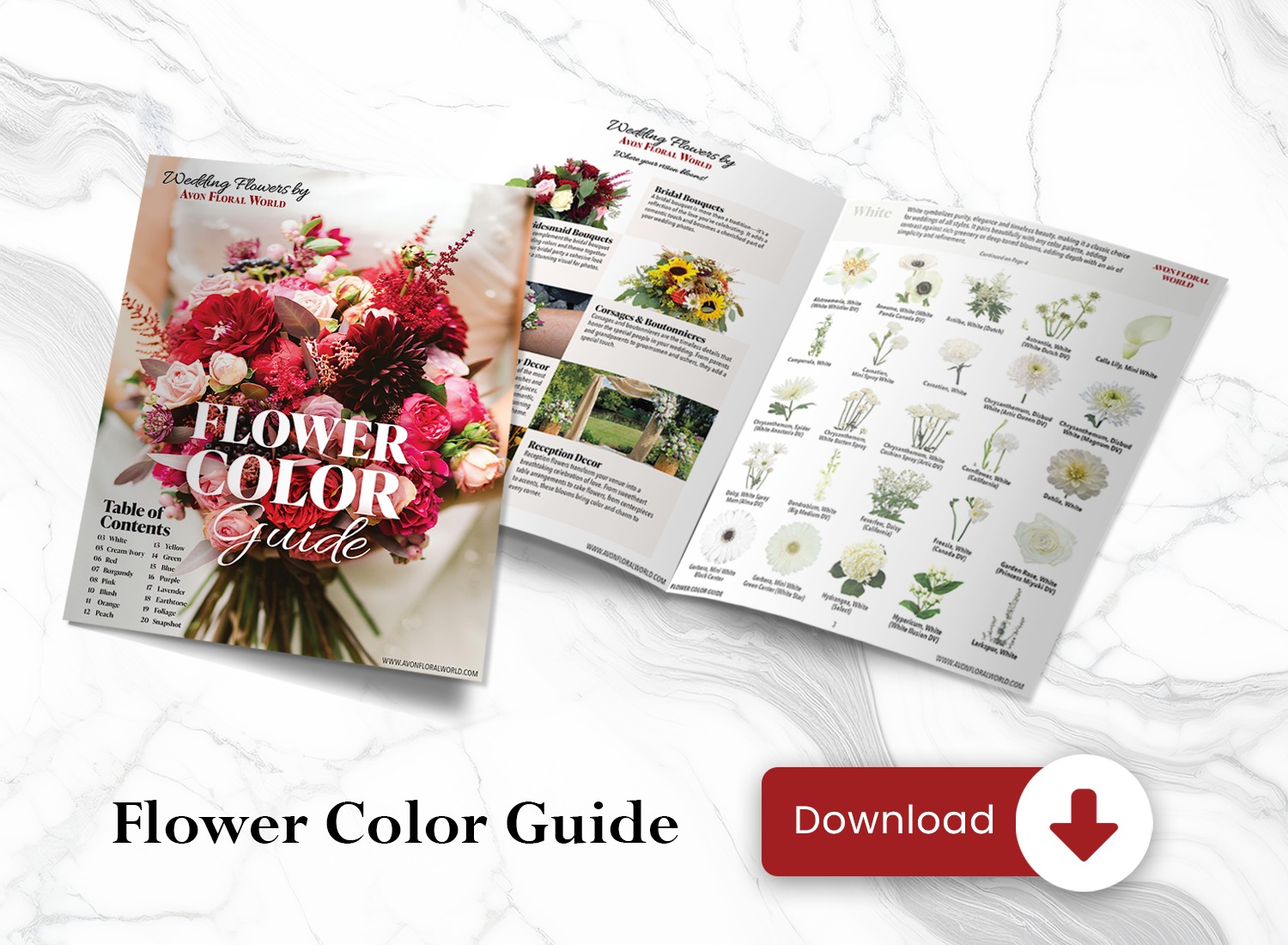 Flower Guide